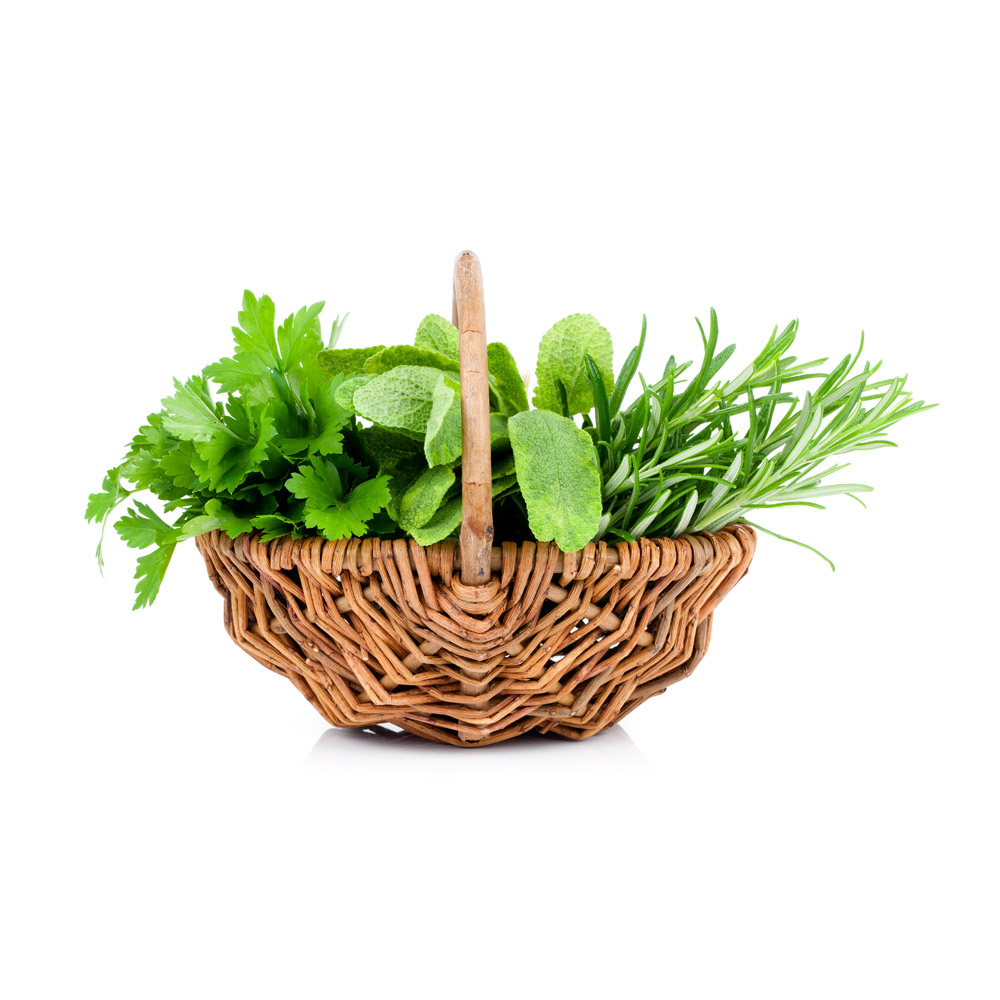erbe-aromatiche