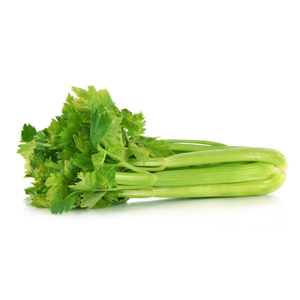 sedano